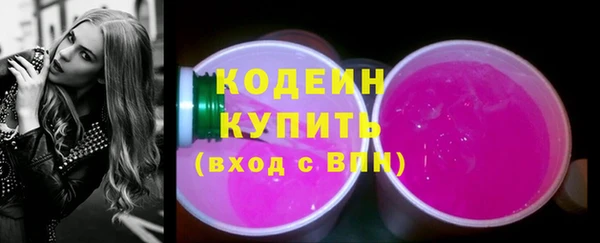 молекула духа Лабытнанги
