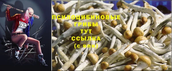 молекула духа Лабытнанги
