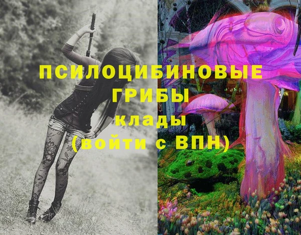 молекула духа Лабытнанги