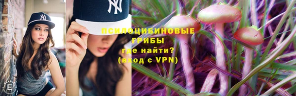 молекула духа Лабытнанги