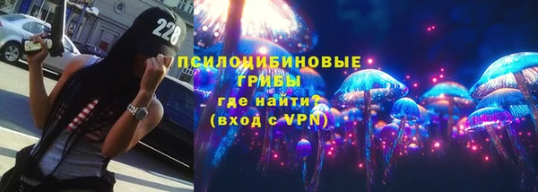 тгк Барнаул