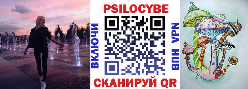 Купить  Каменногорск  Псилоцибиновые грибы GOLDEN TEACHER 